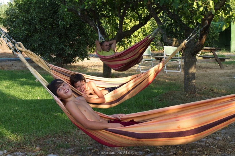 hammock