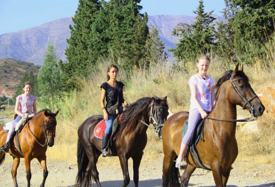 leisure-sport-horse-riding